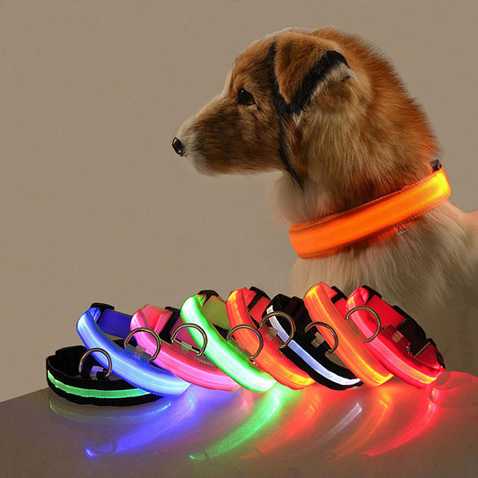 Collare LED per Cani – Visibilità Totale nelle Passeggiate Notturne